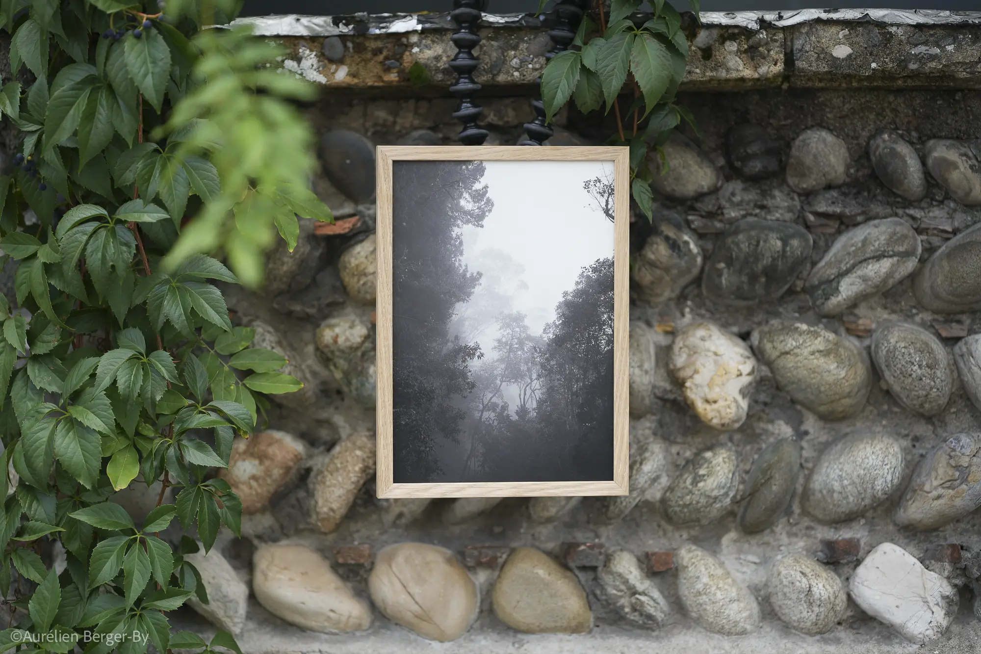 photos shop batch 1 -01-@aurelienbby.RAW