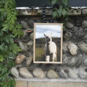 Prince blanc des Andes