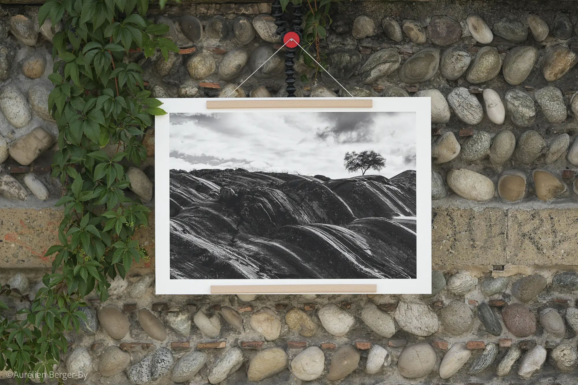 photos shop batch 1 -13-@aurelienbby.RAW